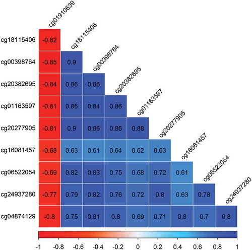 Figure 7. Correlation among the top-ten CpGs associated with As exposure in utero and gestational age at birth.