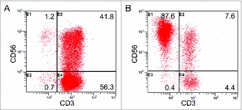 Figure 1. Phenotypic analysis of immune cells after expansion. (A) The percentage of CIK cells (CD3+CD56+) after induction in one of the patients. (B) The percentage of NK cells (CD3–CD56+) after the 14-d culture.