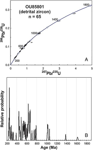 Figure 6. U–Pb ages for single detrital zircons from North Rough Ridge metagreywacke.