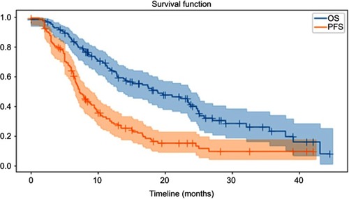 Figure 2 Progression-free survival (PFS) and overall survival (OS) with 95% confidence interval of patients with non-small cell lung cancer who underwent volumetric modulated arc therapy.