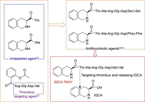 Figure 1 The combination of pharmacophores of the antiplatelet agents, thrombus-targeting peptide Arg-Gly-Asp-Val and antithrombotic agents leads to the design of IQCA-TAVV as a thrombus-targeting nanodelivery system capable of antiplatelet activation, targeting arterial thrombus and releasing IQCA.Abbreviations: IQCA, 3S-1,2,3,4-tetrahydroisoquinoline-3-carboxylic acid; IQCA-TAVV, 3S-1,2,3,4-tetrahydroisoquinoline-3-carbonyl-Thr-Ala-Arg-Gly-Asp(Val)-Val.