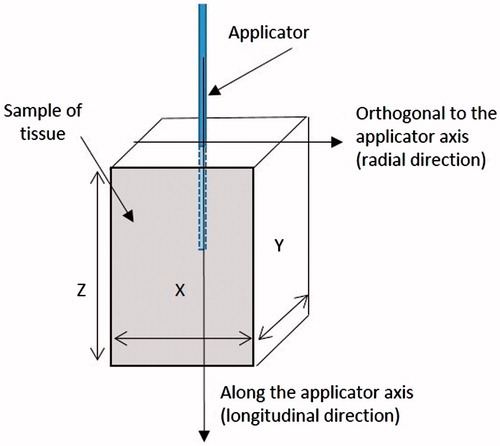 Figure 1. Scheme of the set-up with cuboid specimens used to measure the shrinkage of tissue.