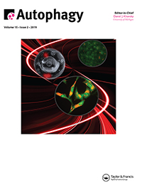 Cover image for Autophagy, Volume 15, Issue 2, 2019