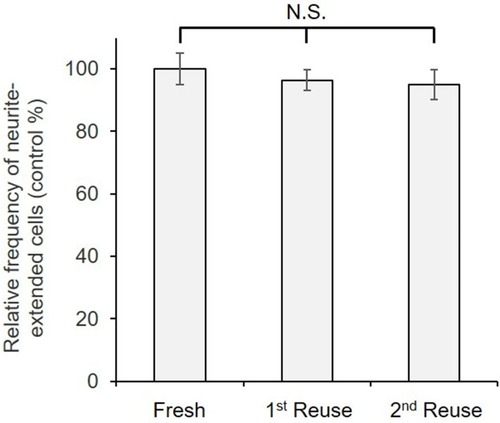 Figure 8 Frequency of neurite-extended cells cultured on immobilized NGF that was reused twice. Cells cultured on a freshly prepared surface with immobilized NGF were used as controls and considered as 100%. Data are presented as the mean ± SD, n=3. N.S., no significant difference.