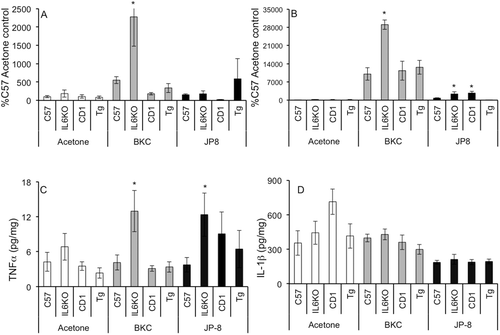 Figure 1.  BKC and JP-8 exposure induces TNF-α, but not IL-1β expression in mouse skin. Mice were treated daily for 7 days with acetone, benzalkonium chloride, or JP-8, and 4-mm skin biopsies were collected and processed for mRNA and protein analysis. Expression of (a) TNFα and (b) IL-1β mRNA was analyzed via real-time RT-PCR; expression differences were normalized to 28s rRNA expression and presented as a percentage of level in samples from acetone-treated C57BL/6 control animals. Skin (c) TNFα and (d) IL-1β protein expression was determined by Milliplex MAP multiplex ELISA as per manufacturer instructions. Data presented as means ± SE (n = 8). *Value significantly different from corresponding WT control (p ≤ 0.05).