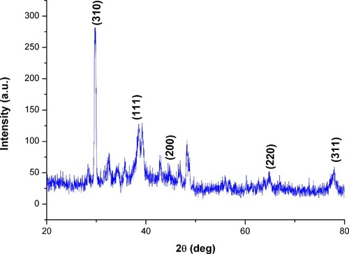 Figure 6 XRD pattern of D-SNPs.Abbreviations: XRD, x-ray diffraction; D-SNPs, silver nanoparticles synthesized by Desertifilum sp.