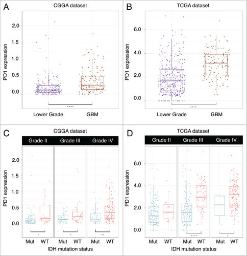 Figure 1. Comparison of PD-1 expression between lower grade gliomas and glioblastoma (GBM) in CGGA (A) and TCGA (B) datasets. PD-1 expression according to IDH mutation status cross grade II to grade IV gliomas in CGGA (C) and TCGA (D) datasets.