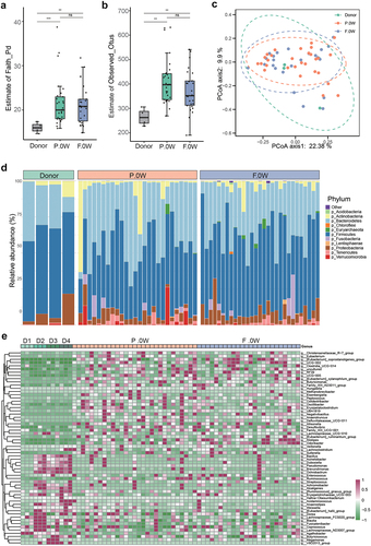 Figure 2. The baseline characteristics of gut microbiota in donors and patients with PD (placebo/FMT group). a-b: α diversity of gut microbiota in different groups according to estimate of Faith_Pd (a) and estimate of Observed_Otus (b) (ns, not significant, ***p <.001; Wilcoxon sum-rank test.); c: Principal coordinate analysis (PCoA) of the microbiota between three groups by R package vegan. (ANOSIM; donor vs. F.0W, R = 0.2055, p = .125; donor vs. P.0W, R = 0.1797, p = .15; F.0W vs. P.0W, R = 0.0041, p = .338); D: bar plots showing the relative abundance of gut microbiota of three groups of individuals at the phylum level, with different colors corresponding to different phyla; E: heat map showing the relative abundance of three groups of individuals at the genus level (samples from the same donor was marked as D1, D2, D3, and D4). Only significantly different genera were shown between donors and patients with PD (R package ALDEx2, we.Ep <.05 and wi.Ep <.05).