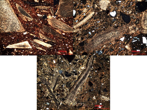 Figure 4. From left to right and top to bottom: CB14BN483, CB14BN466 and CB14BN432 under XP.