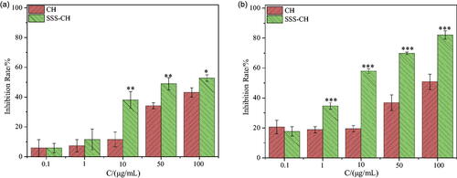 Figure 8. Inhibitory rates of different concentrations of CH and SSS-CH on Ramous cells (n = 3). (a): 24 h, (b): 48 h. *Indicates the difference compared with the blank group, *p<.05, significant difference, **p<.01, very significant difference, ***p<.001, extremely significant difference.