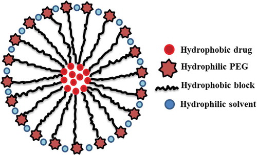 Figure 3. Schematic of polymeric nanomicelle.