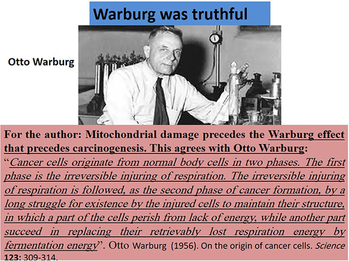 Figure 5 Otto Warburg was truthful. The best of the author’s knowledge and understanding agrees with Otto Warburg’s findings and reports: mitochondrial damage precedes the Warburg effect that precedes carcinogenesis.