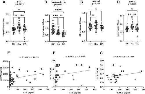 Figure 3 Dot plots of differential proteins TTR, serotransferrin, apolipoprotein-A and RAGE specificity in RA validation by ELISA. The multiple comparisons between groups indicate the significant and non-significant difference between HC vs RA and OA. The plasma TTR (A), serotransferrin (B) Apo-A1 (C) and RAGE (D) were compared between RA, HC and OA (n=24, each), dot plot indicates individual protein abundance of each group found higher of TTR with statistical significance p<0.0039, and significant lower serotransferrin level p<0.0001, lower non-significant Apo-A1 level p<0.234 compared between groups respectively. Similarly, RAGE result statistical significance between groups indicates significant higher-level p<0.0017 between HC and RA, whereas, no significance (ns) level in comparison between HC and OA. The data are presented mean ± SEM. The Student’s t-test was used for statistical significance difference calculation between groups. (E) Correlation analysis between ACPA and TTR: The ACPA concentration shows a positive correlation with TTR with r = 0.1380 indicates the goodness of fit with p<0.0199. (F and G) The graph shows a positive correlation between TTR and DAS-28 (ESR) score with r = 0.4021 and p<0.0135, whereas, RAGE shows non-significant (ns) correlation with r = 0.3072 and p<0.1443 in RA patients. The significance level indicates *p < 0.05; **< 0.01, **< 0.001 and ****< 0.0001.