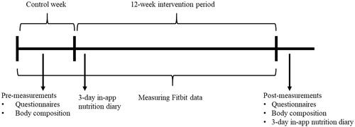 Figure 1. Schematic overview of the study protocol.