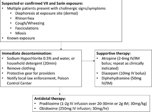 Figure 1. Clinical findings and therapy for nerve agents VX and sarin.