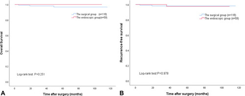 Figure 4 The difference between two groups of patients in overall survival (A) or recurrence-free survival (B) did not attain statistical significance (P=0.251 and P=0.978, respectively).