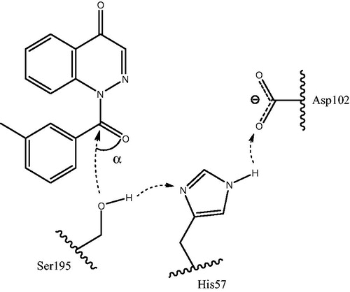 Figure 4. Hypothetical model for the nucleophilic attack of Ser195 at the carbonyl group of cinnoline derivative (18a) accompanied by synchronous proton transfer from Ser195 to Asp102 via the catalytic triad. The key angle α is indicated (see text for details). The model is based on the proposed mechanism of synchronous proton transfer from the oxyanion hole in serine proteasesCitation40,Citation47.