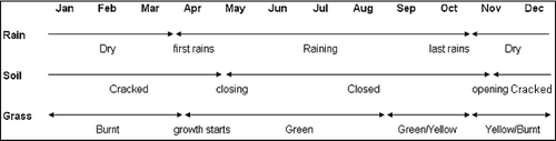 Fig. 8 Observed conditions in the seasonal flooded grassland areas.