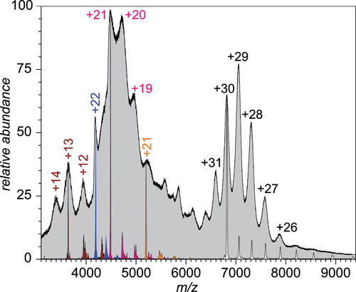 Figure 1. An ESI mass spectrum of unprocessed monoclonal IgE sample acquired under near-native conditions (gray-filled curve). The charge ladders shown in color represent LCR MS measurements for precursor ions selected at m/z 3640 (maroon), 4200 (blue), 5200 (orange) and 6820 (white). See Supplementary Material for a more detailed view of the data presented in this figure.