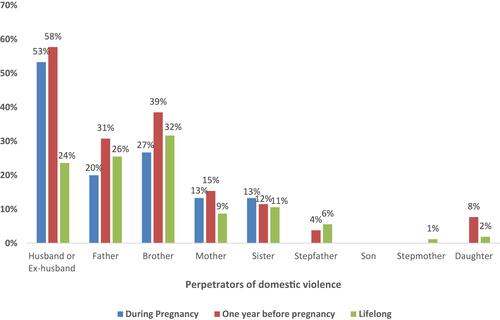 Figure 1 Perpetrators of domestic violence during the three periods: during pregnancy, one year before pregnancy, and lifelong. Husbands/ex-husbands were the main perpetrators one year before pregnancy and during pregnancy. For lifelong domestic violence, the majority of subjects reported being abused by their fathers, brothers, and/or husbands/ex-husbands.