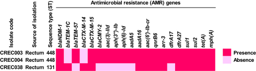 Figure 1 Distribution of antimicrobial resistance (AMR) genes in blaNDM-1-harboring CREC isolates.