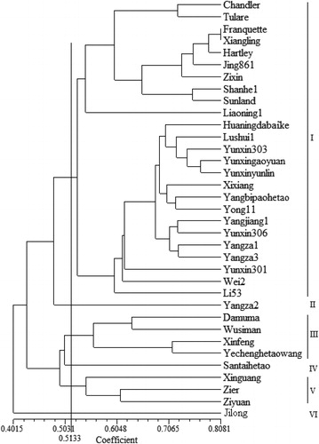 Figure 3. Dendrogram of 35 walnut cultivars based on AFLP analysis conducted using 9 primer combinations.