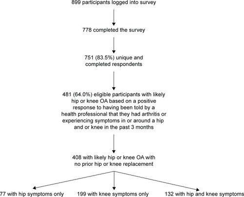 Figure 1 Flow diagram of respondents and final analytic sample.