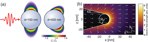 Figure 2. Enhanced near-fields at nanostructures. (a) Maximum enhancements of the radial near-fields at small and large silica nanospheres under 5 fs 720 nm few-cycle pulses with respect to the peak field strength of the incident field (Mie calculations). (b) Near-field at a tungsten nanotip with 10 nm apex radius and opening angle α=15° under a 5 fs 800 nm few-cycle laser pulse propagating in z-direction and polarized in x-direction. Gray arrows indicate the local orientation of the field at the instant of maximal enhancement. Adapted from [Citation26].