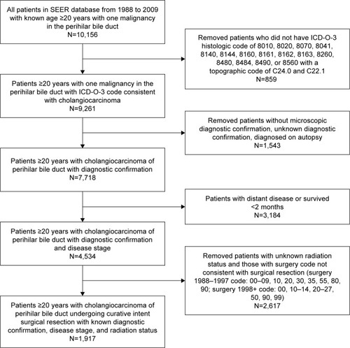 Figure 1 Patient selection flowchart.