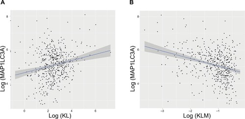 Figure 3 Associations of KL expression and methylation with LC3 gene expression.Note: Scatter plots and linear regression line (95% CI in shadow) show that high KL expression was positively associated with LC3, an autophagy gene (correlation coefficient =0.17, P=0.0003) (A), and that KL methylation was negatively associated with LC3 (correlation coefficient =−0.27, P=1.01e–12) (B).Abbreviations: KL, klotho expression; KLM, klotho methylation.