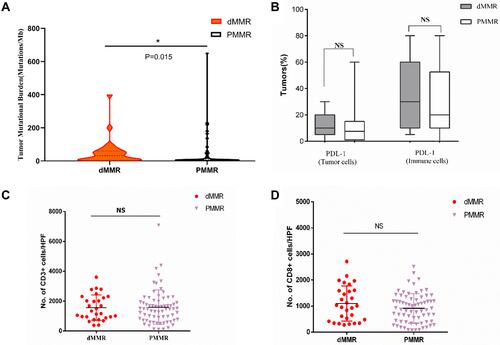 Figure 5 Neoantigen load and PD-L1 expression level in dMMR and PMMR endometrial tumors. (A) TMB per megabase in tumor DNA exons and introns detected by ColoSeq. Red and black represent dMMR and PMMR tumors, respectively. (B) Average numbers of PD-L1–expressing tumor cells and TILs (B), CD3+ immune cells (C), and CD8+ immune cells (D) identified by IHC. NS, nonsignificant at p>0.05, *p<0.05, (Mann–Whitney U-test).