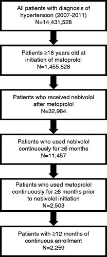Figure 1. Flowchart of patient selection.