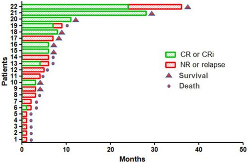 Figure 3 Remission and survival of the 22 patients.