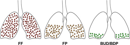 Figure 2 Duration of lung retention with inhaled corticosteroids due to relative lipophilicity, which in turn determines pneumonia risk in COPD.