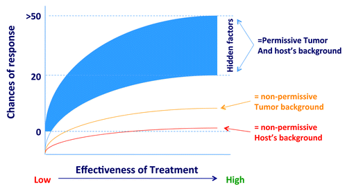 Figure 3. A quantitative continuum determining the responsiveness of tumors according to genetic background of the host, genetics of cancer cells, effectiveness of treatment and other “hidden” external factors that may affect the final outcome.