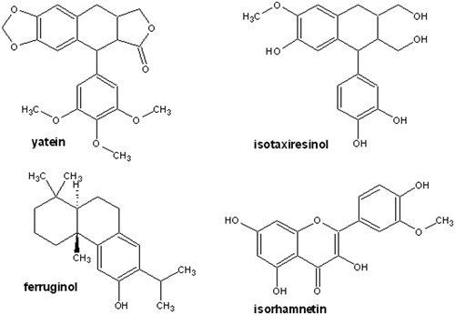 Figure 6. Chemical structures of the compounds isolated from native Chilean Cupressaceae.