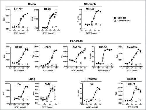 Figure 4. MEDI-565 induced T cell lysis of human cancer cell lines derived from various tissues. Activity of MEDI-565 (▪) or control BiTE® antibody (□) at the indicated concentrations to induce T cell killing of colon (LS174T, HT-29), stomach (MKN45) pancreatic (HPAC), and gastric (MKN45), pancreas (HPAC, HPAF II, BxPC3, ASPC-1, Pan08), lung (H727, A549), prostate (PC3) and breast (BT474) cancer cell lines after 42 hours in culture. RLU, Relative Light Units from caspase 3/7 assay;% lysis, lysis of tumor cells as determined by flow cytometry-based cytotoxicity assay. Error bars show the SEM.