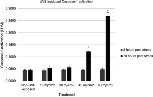 Figure 2 Expression of active Caspase-1 as a result of UVB exposure of normal human epidermal keratinocytes to various levels of UVB energy at two time points (gray bars, 3 hrs, black bars, 20 hrs). Asterisk indicates statistical significance vs un-irradiated cells.Abbreviations: UVB, ultraviolet radiation-B; LUM, luminescence.