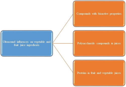 Figure 2. Influences on vegetable and fruit juice ingredients.