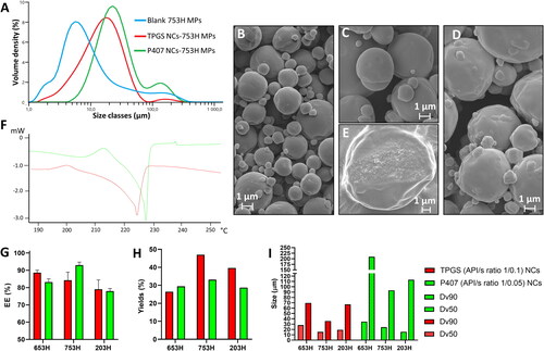 Figure 4. (A) PSD representative graphs of MPs by volume density obtained by laser diffraction. SEM representative micrographs of (B) blank 753H MPs, (C) TPGS NCs-753H MPs, (D) P407 NCs-753H MPs, and (E) TPGS NCs-753H MP cross section. Magnifications are 4500x and 9000x for the cross-section MP. (F) Representative thermograms of the TPGS and P407 NCs loaded in the 753H MPS analyzed by DSC. Fusion transition events occurred around 200–230 °C. (G) Efficacies of encapsulation (EE), expressed as a percentage. Values are the mean ± s.d. (n = 3). (H) Yields expressed as a percentage (100% is the initial mass weighted). n = 1. (I) PSD measured by laser diffraction after MPs resuspension. Only Dv50 and Dv90 (dotted) values are shown, n = 1. For F–H, three polymers (653H, 753H, and 203H) and two GLPG0555 NCs (TPGS API/s ratio 1/0.1, in red and P407 API/s ratio 1/0.05, in green) are shown.