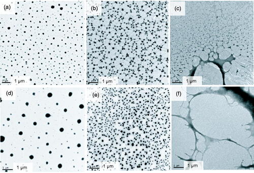 Figure 3. TEM images of MBGs and hydrogels. (a) MBG prepared with sodium hyaluronate with negative staining. (b) MBG prepared with sodium hyaluronate without negative staining. (c) Hydrogel prepared with sodium hyaluronate. (d) MBG prepared with carbomer with negative staining. (e) MBG prepared with carbomer without negative staining. (f) Hydrogel prepared with carbomer.