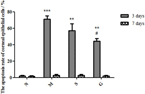Figure 15 The apoptosis rate of corneal epithelial cells (n = 3, X¯ ± s. (N) the normal group; (M) the model group; (S) the solution group; (G) the gel group. Compared with (N)***P < 0.001, **P < 0.01; Compared with (M)#P < 0.05.).