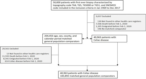 Figure 1 Flow chart of patients with celiac disease and their matched comparators.