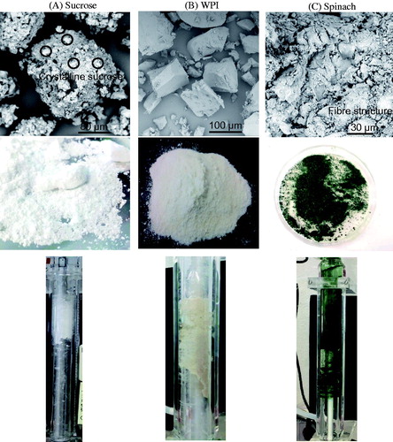 Figure 7. Regular and scanning electron microscope images of ATFD-dried: (A) sucrose, (B) whey protein isolate (WPI), and (C) spinach and the ATFD chamber with the respective products.