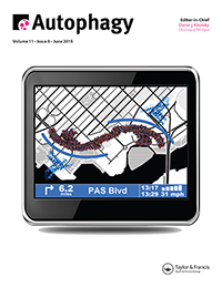 Cover image for Autophagy, Volume 11, Issue 6, 2015