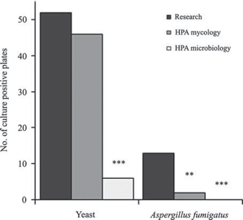 Fig. 1 Number of culture positive plates detected using approximately 150 mg neat sputum plug plated directly onto PGCF plates (research) compared to the health protection agency (HPA) standard for mycological investigations (10 μl of homogenized sputum) or microbiological investigations (10 μl of diluted-homogenized sputum) plated onto SC plates, n = 55. **P < 0.01, ***P < 0.001, HPA methods compared to research using McNemar test.