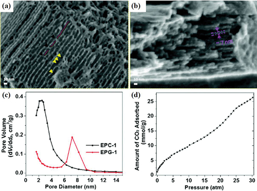 Figure 11. LVHR-SEM images of EPG-1 (a) and EPC-1 (b), respectively. Pore size distribution (c) and CO2 adsorption isotherm (d) for EPC-1 at 273 K. Reproduced from ref [Citation53]. With permission. Copyright 2019 the Royal Society of Chemistry.