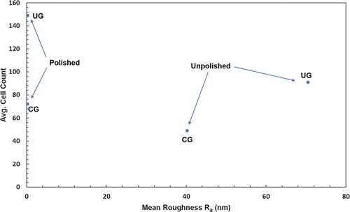 Figure 4. Relationship between the average number of attached MC3T3-E1 cells and average arithmetic mean roughness Ra.