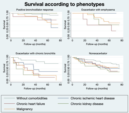 Figure 2 Kaplan–Meier graphs of survival according to the presence of chronic ischemic heart disease, chronic heart failure, chronic kidney disease and malignancy in each phenotype.