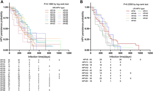 Figure 9 (A) HR HPV common type-specific HPV infection persistence curves. (B) LR HPV common type-specific HPV infection persistence curves.